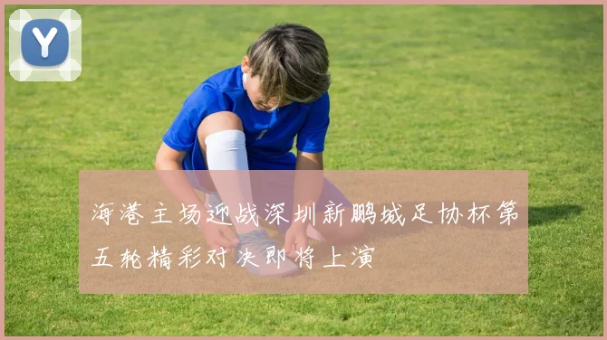 海港主场迎战深圳新鹏城足协杯第五轮精彩对决即将上演