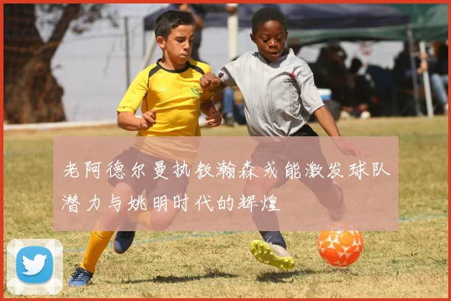 老阿德尔曼执教瀚森或能激发球队潜力与姚明时代的辉煌
